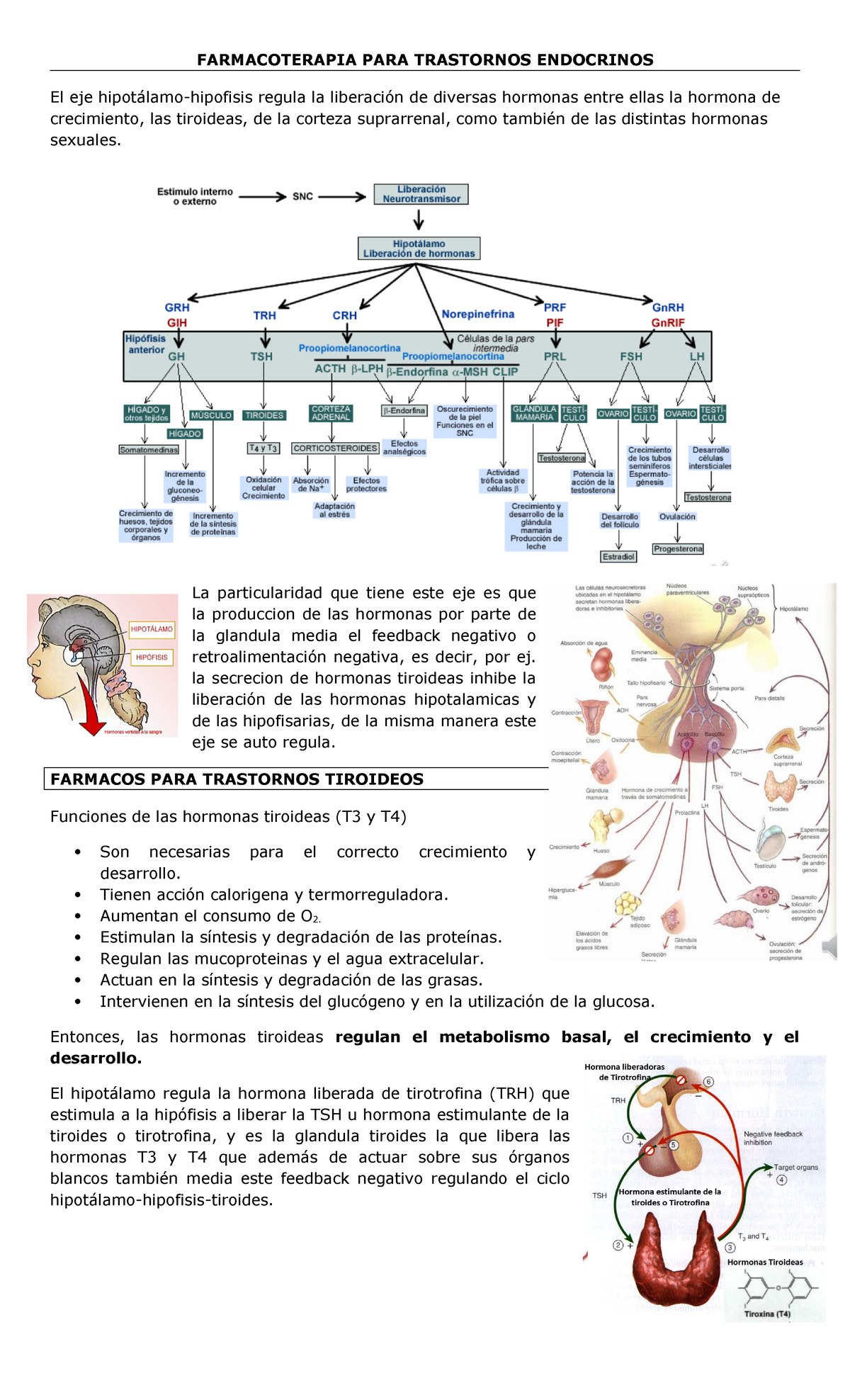 013- Farmacoterapia PARA Trastornos Endocrinos - FARMACOTERAPIA PARA ...