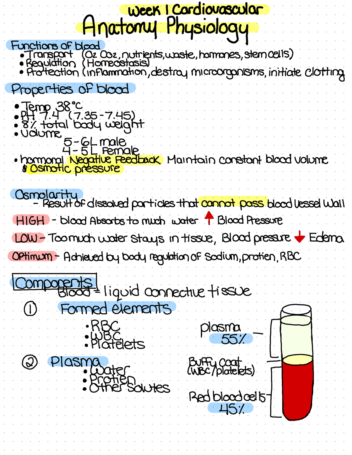 PDF document 3 - Nursing Anatomy physiology 2 notes - SCIE 158 - Studocu