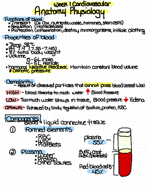 A&P Lab Prep- Blood Vessels - Anatomy & Physiology II Lab Prep Week 3 ...