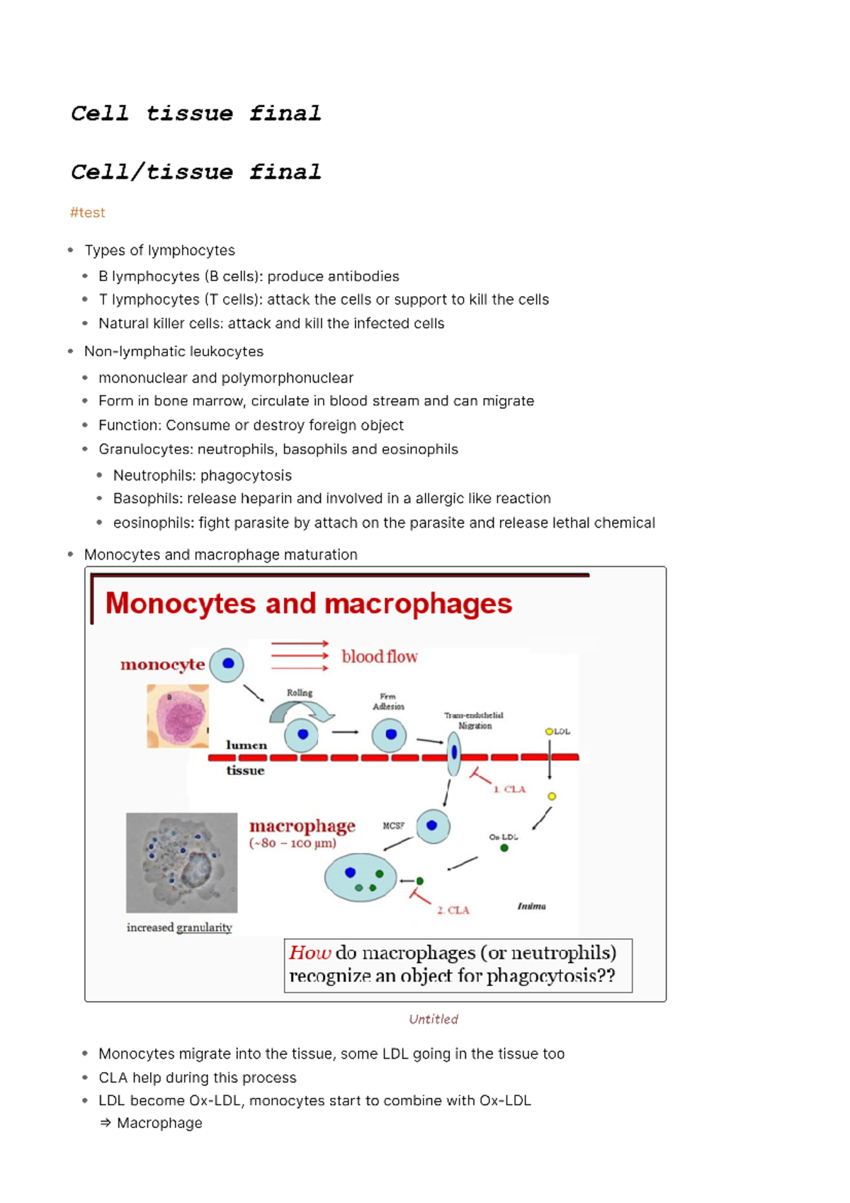 Cell tissue final - Cell/ Tissue Biomaterials Interaction - Studocu