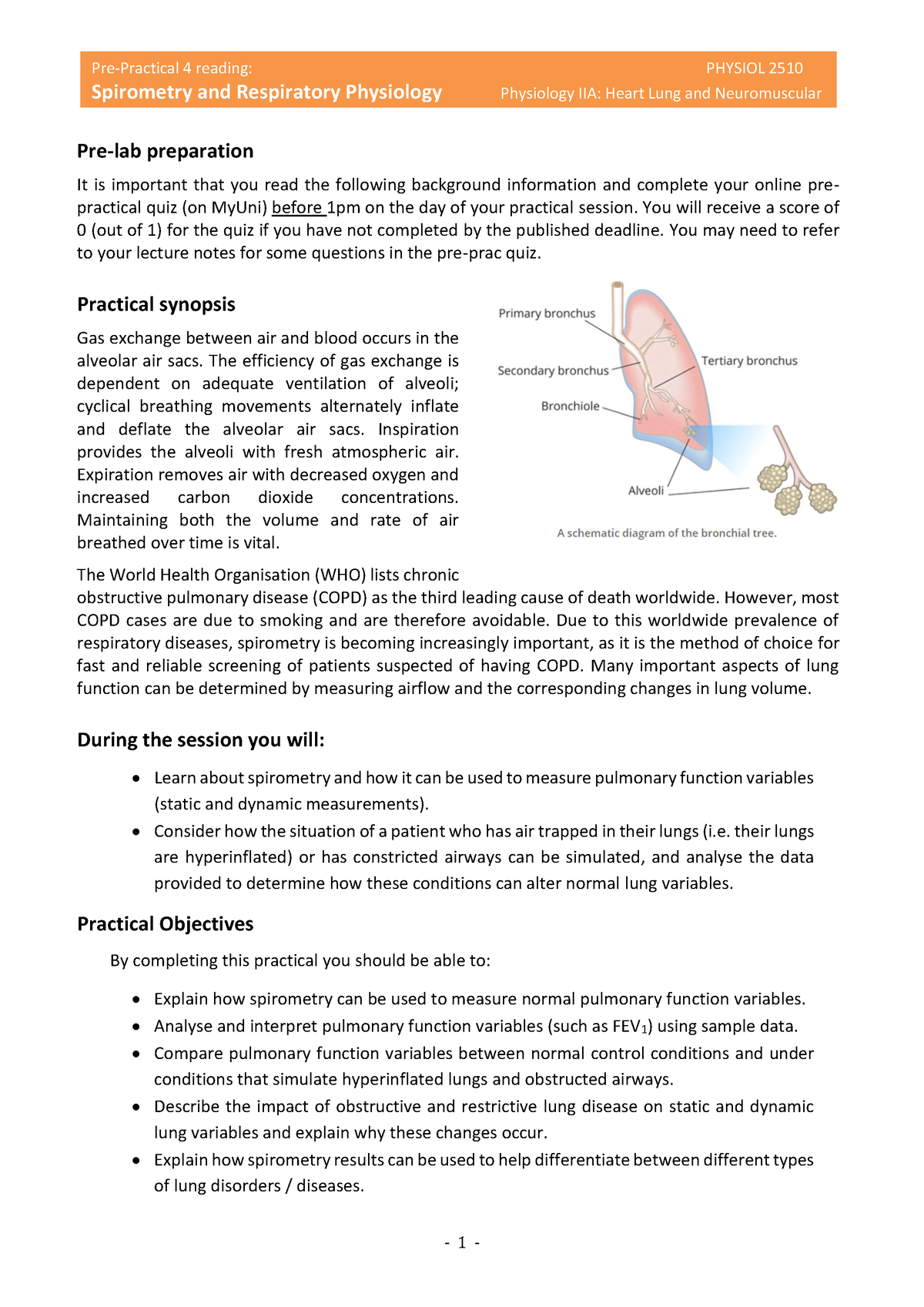 Prac 4 Spirometry Pre Reading 2022 Spirometry And Respiratory   Thumb 1200 1697 