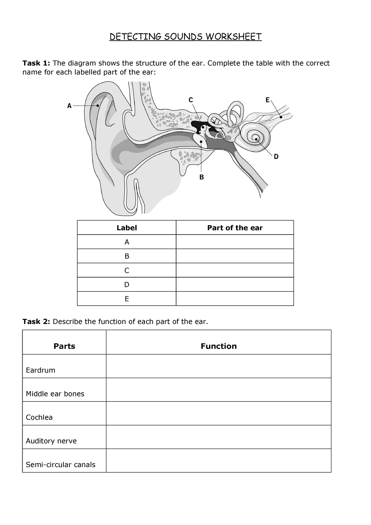 Detecting-Sounds-Worksheet - DETECTING SOUNDS WORKSHEET Task 1: The ...