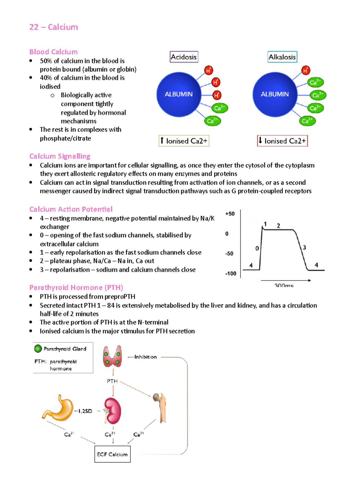 physiological-effects-of-calcium-22-calcium-blood-calcium-50-of