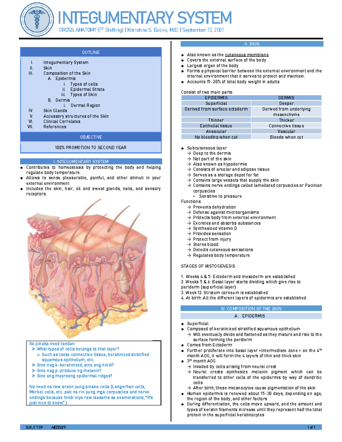 Integumentary System - S 01 // T 09 MED2025 1 of 7 OUTLINE I ...