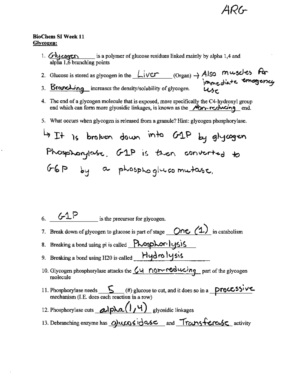 Session Worksheet for Exam 4 Dr. Mariani - Biochemistry I - BioChem SI ...