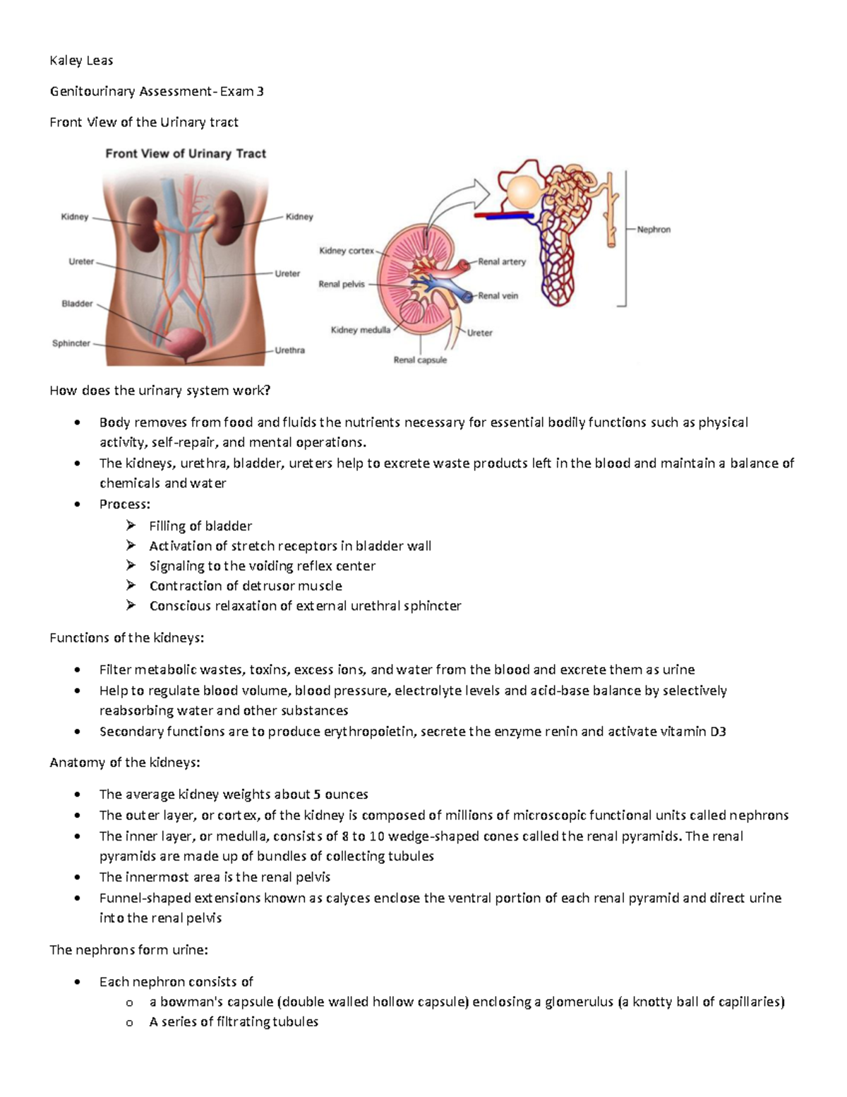 Genitourinary- Exam 3 - Kaley Leas Genitourinary Assessment- Exam 3 ...