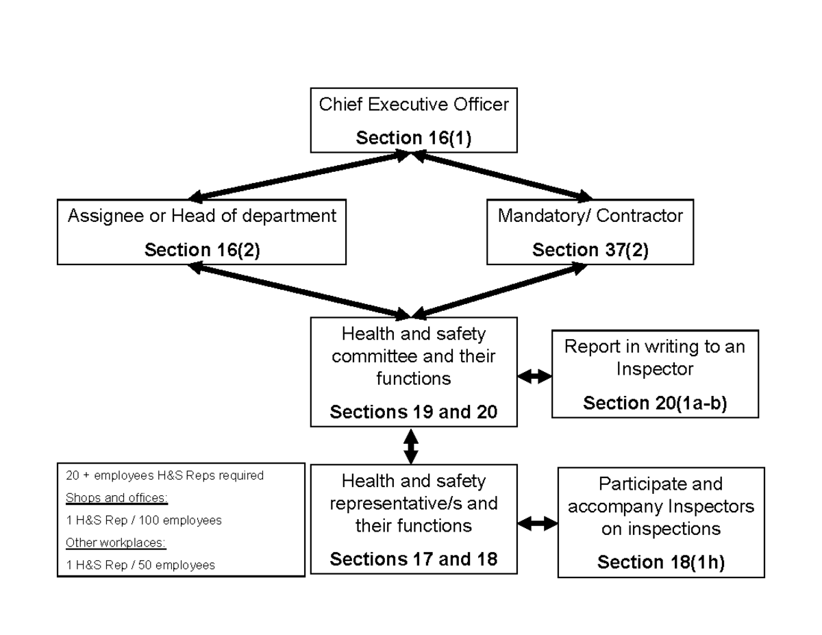 Diagram OHS structure in company - Chief Executive Officer Section 16(1 ...