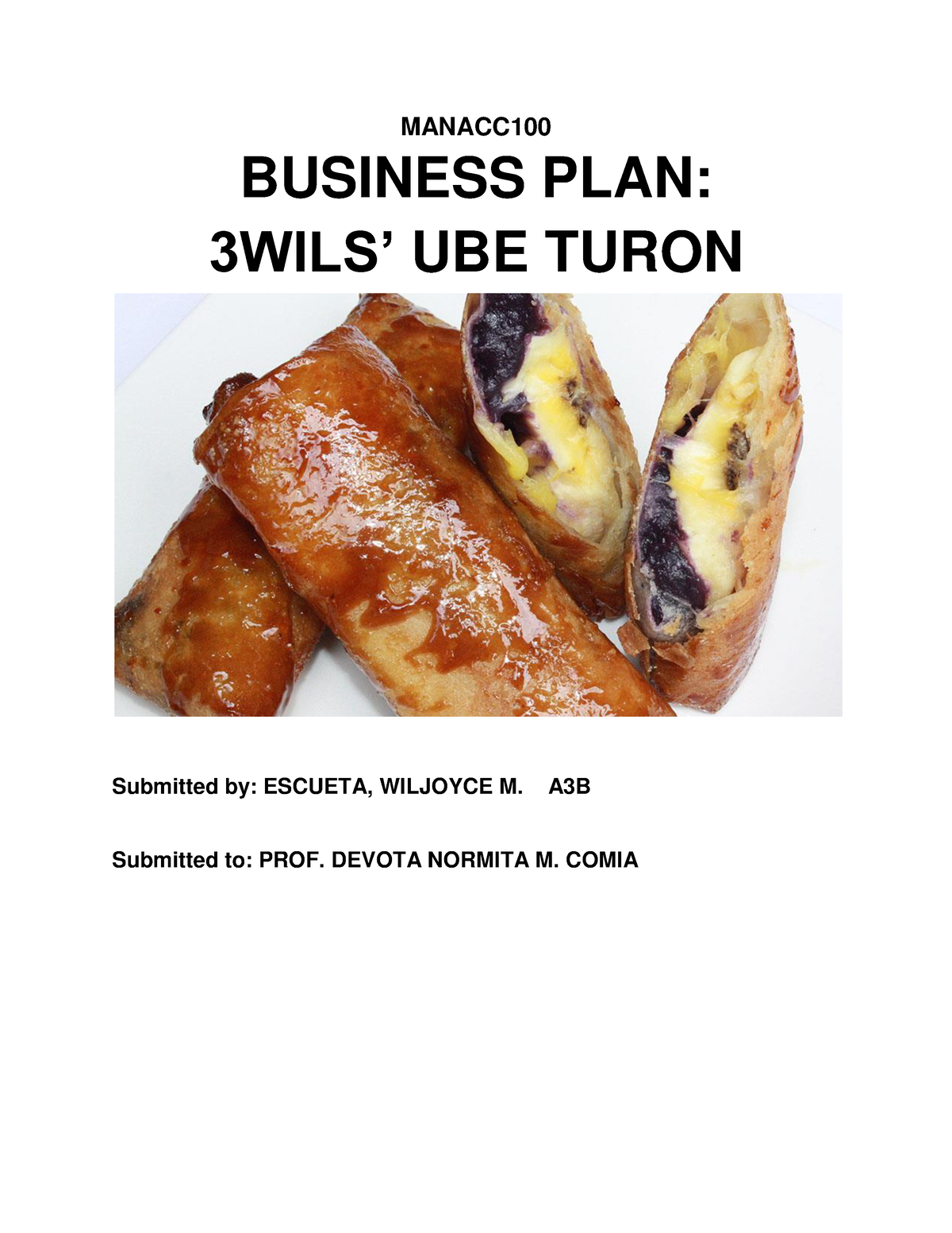 business plan of turon