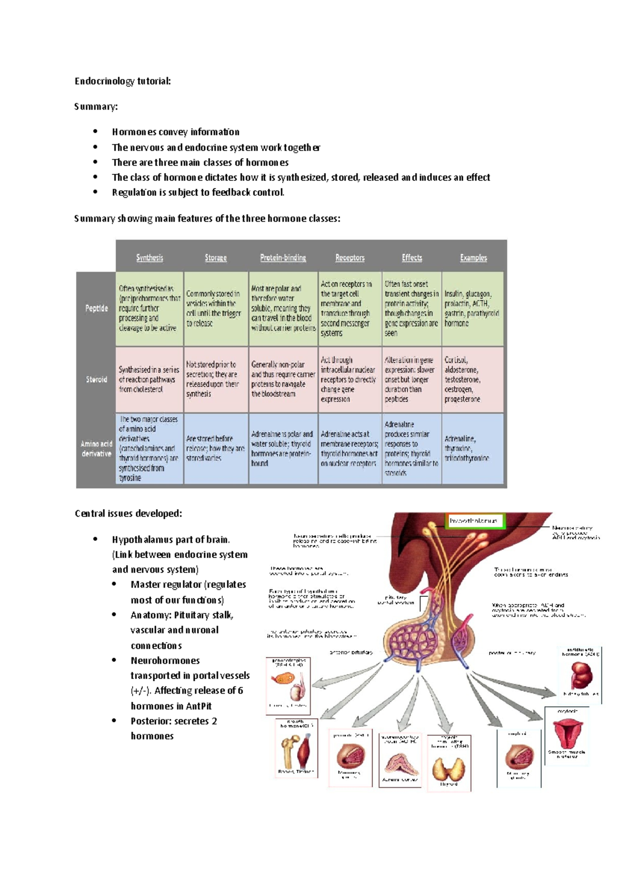 Endocrinology Tutorial: Hormones Glands and Feedback Mechanisms - Studocu