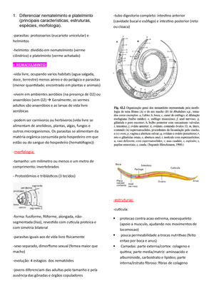 Revisão PARA A Prova - usado para estudarmos mais com essa ídeia de torta  na cara, muito bom. - Studocu