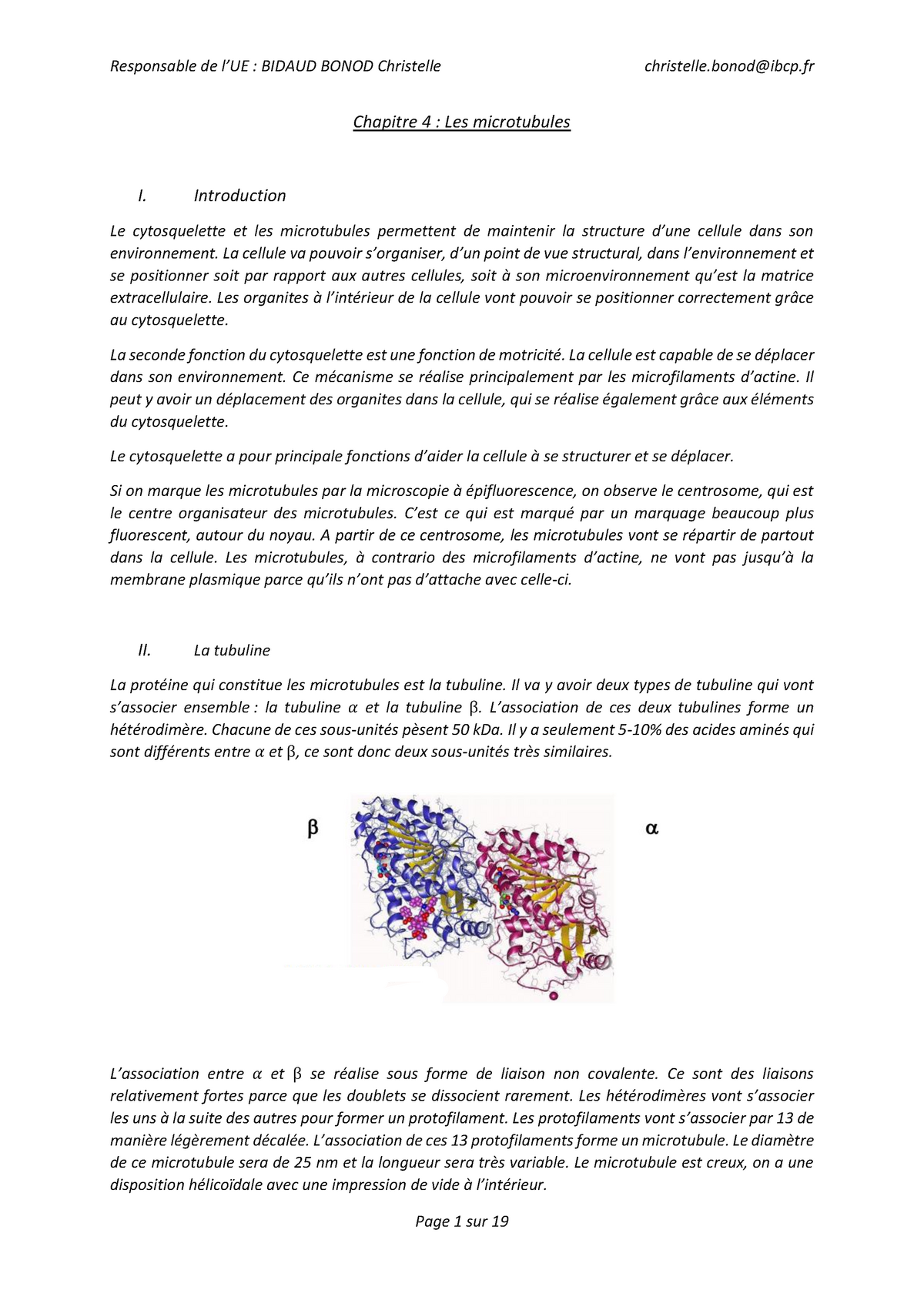 Les Microtubules - Introduction Le Cytosquelette Et Les Microtubules ...