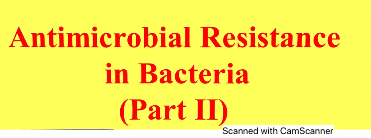 Antimicrobial Resistance 2022 Part II F Bacteriology Studocu   Thumb 1200 448 