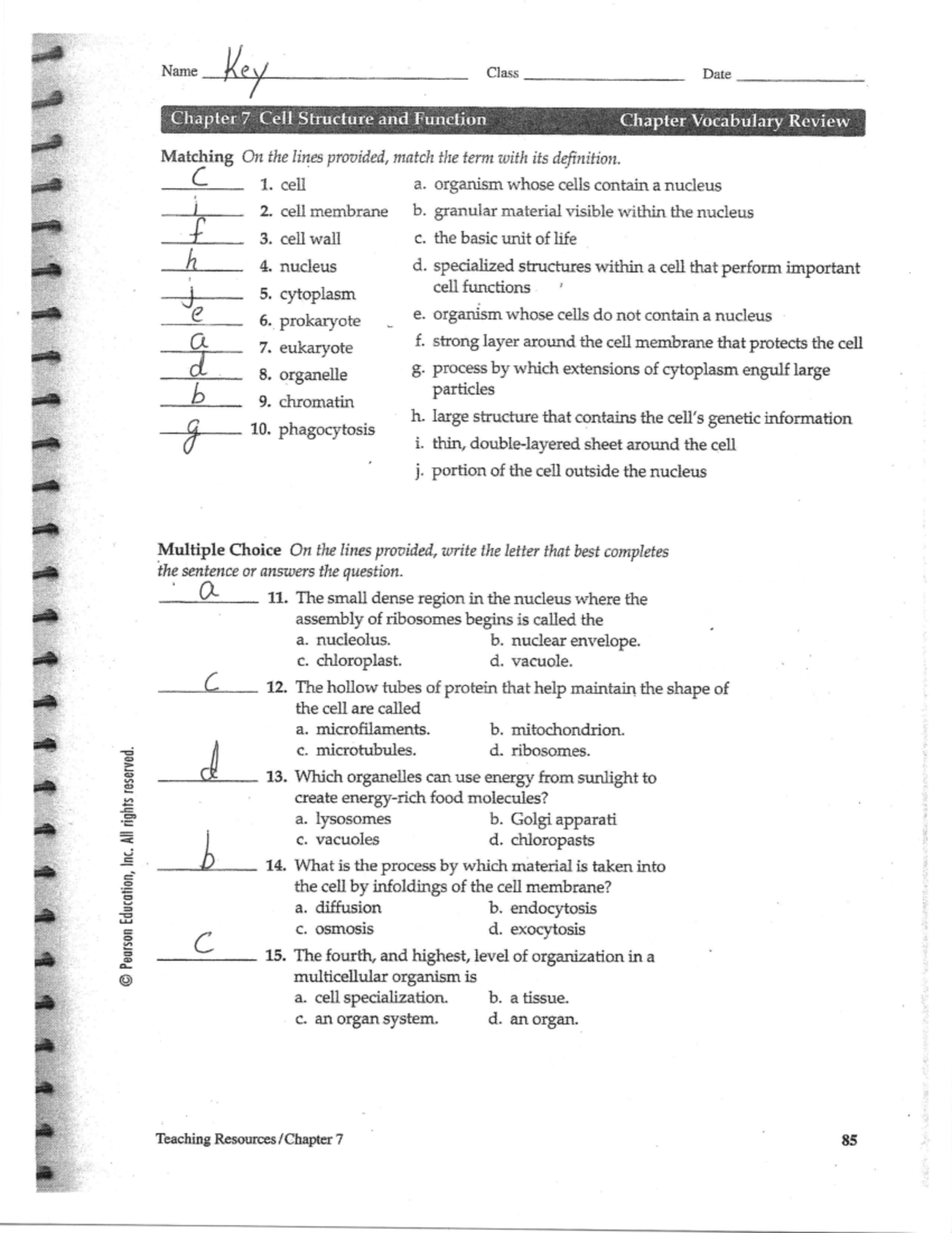 Cells Review Answer Key-2 - BIO 114 - Studocu