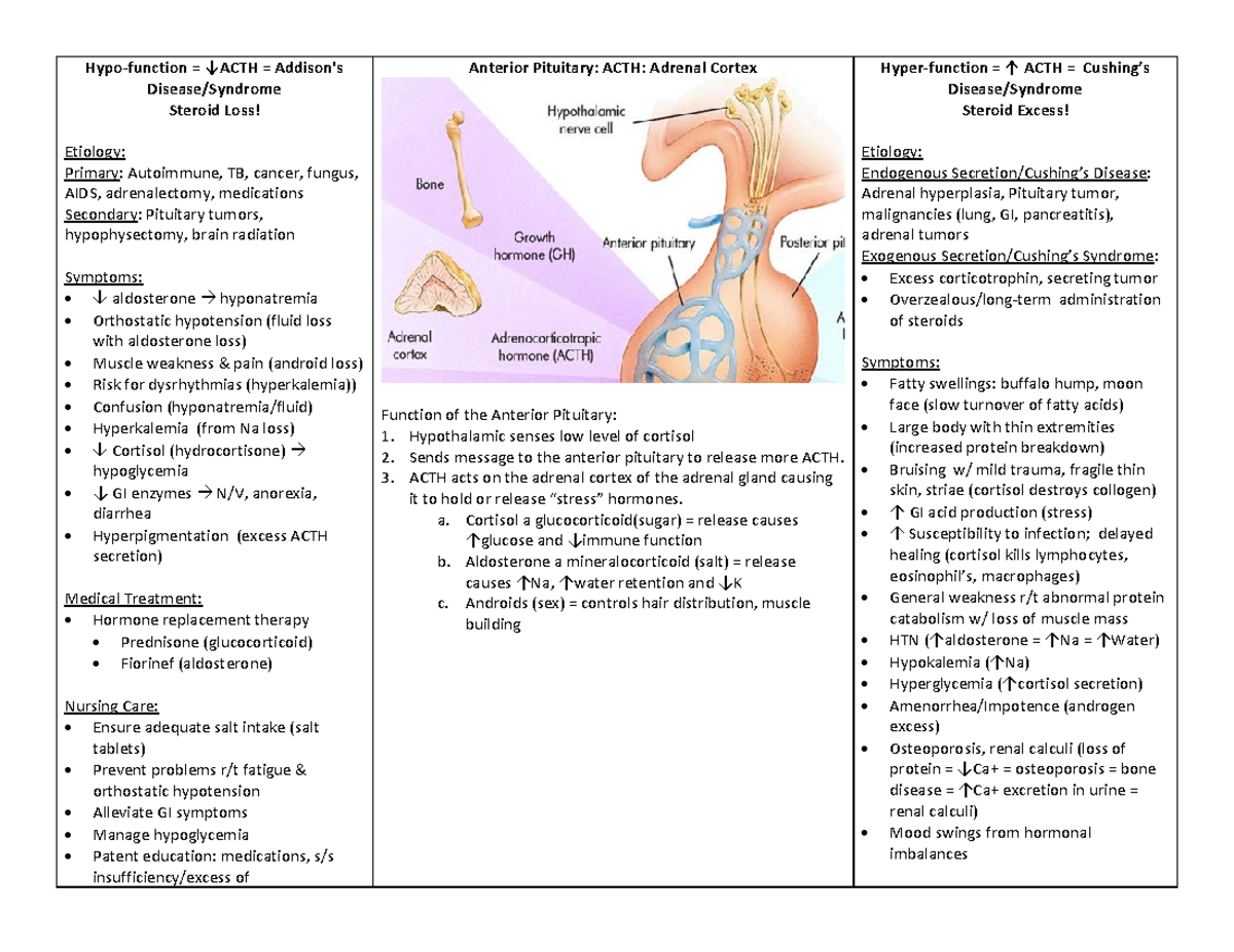 Adrenal+Cortex+ACTH - Okay - Hypo-function = ↓ACTH = Addison's Disease ...