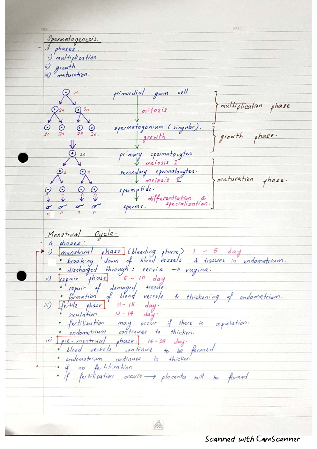 experiment form 4 biology