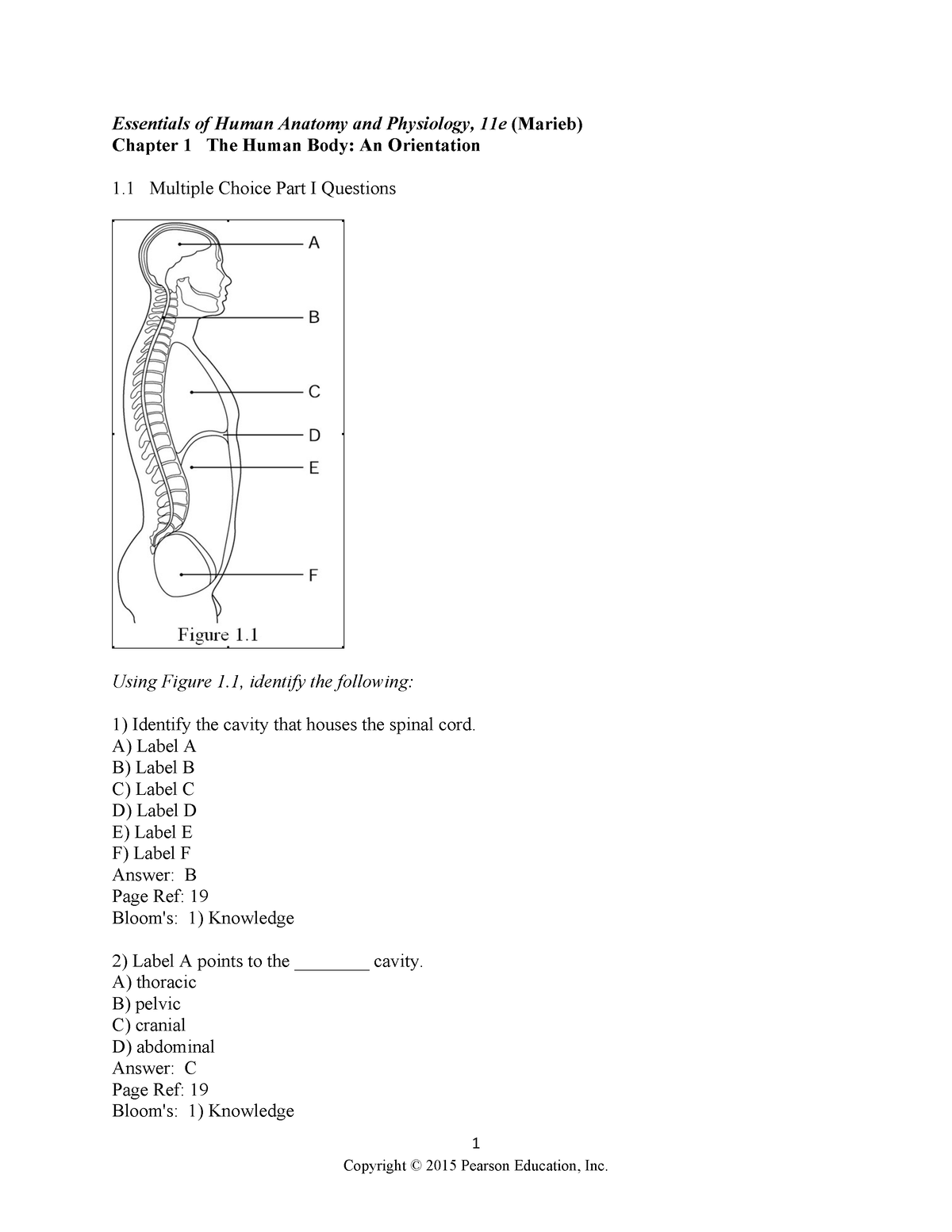 Chapter 1 Test Bank - N/A - 1 Essentials Of Human Anatomy And ...