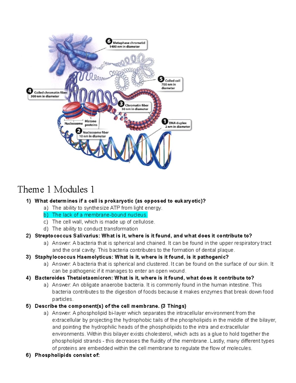 BIO 1A03 TEST1, Test 2, Test 3 - Theme 1 Modules 1 1) What Determines ...