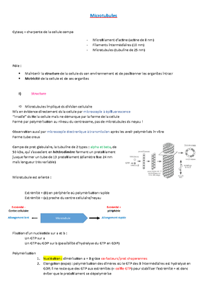 Cycle Cellulaire - Introduction Du Cycle Cellulaire 1) Intro Orga ...