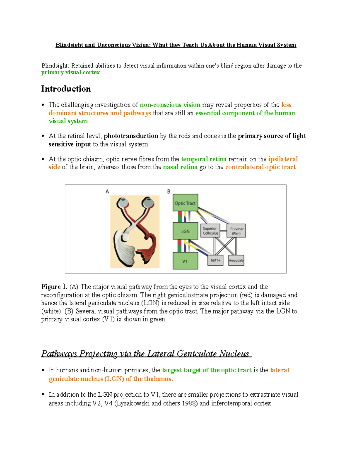 Ajina- Blindsight - Reading notes - Blindsight and Unconscious Vision ...