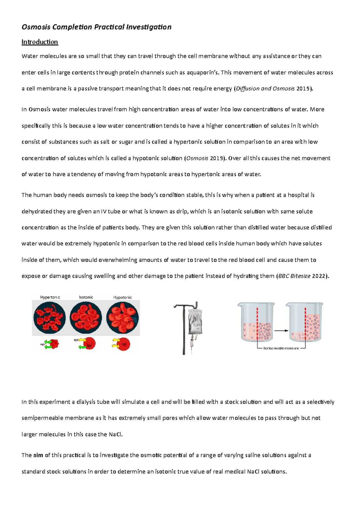 Osmosis Completion Practical Investigation - Osmosis Completion ...