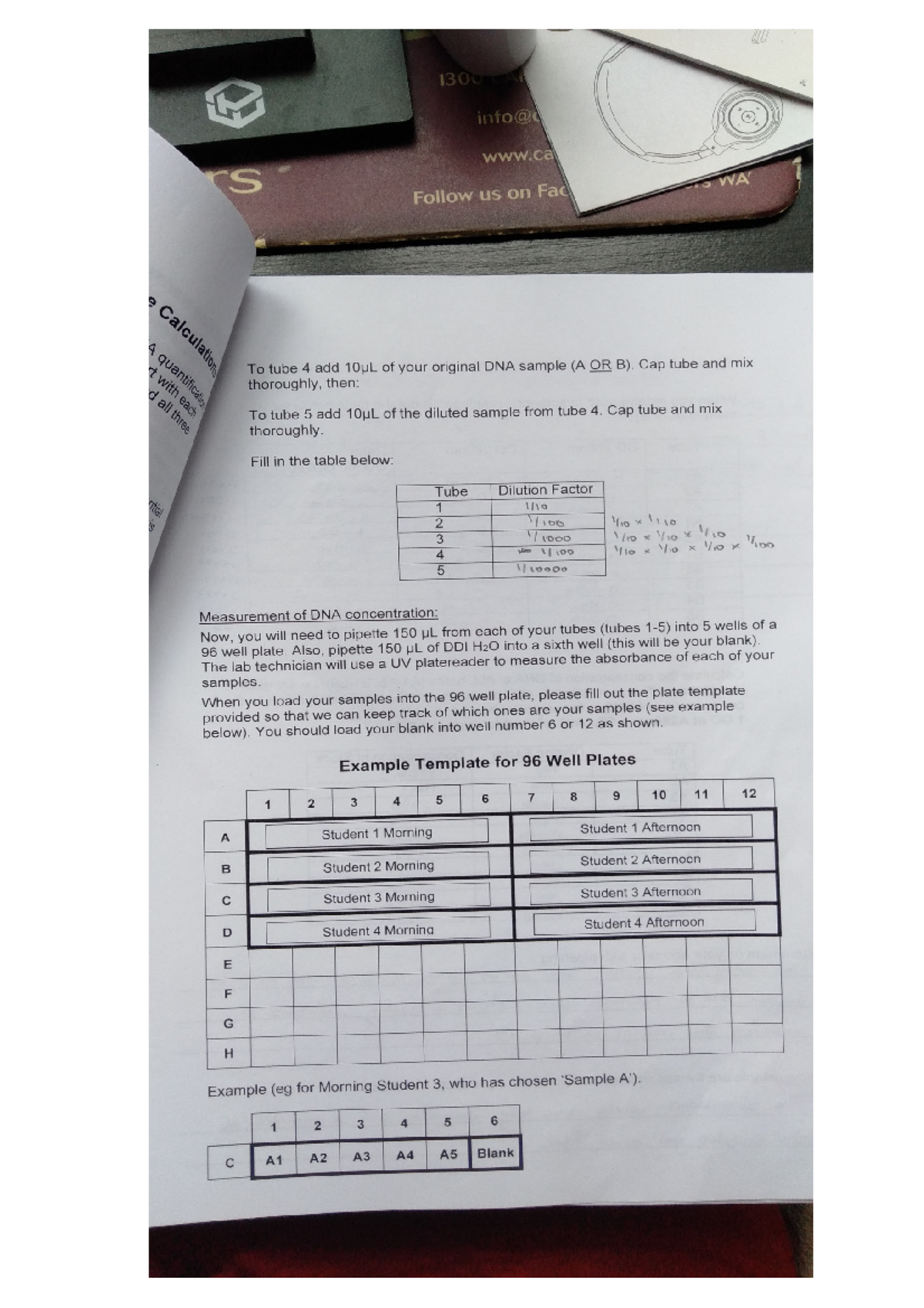 Molecular Genetics I GENE2230 Transgenics Practical Pubudu Ediriweera ...