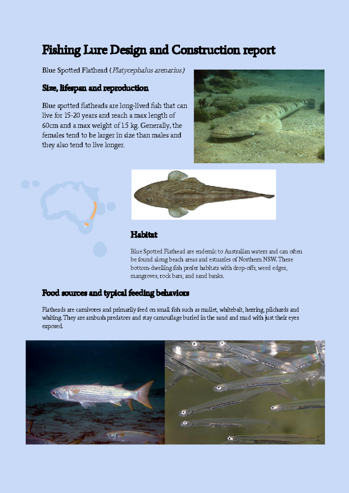 Fishing Lure Design and Construction - year 10 marine studies - Fishing ...