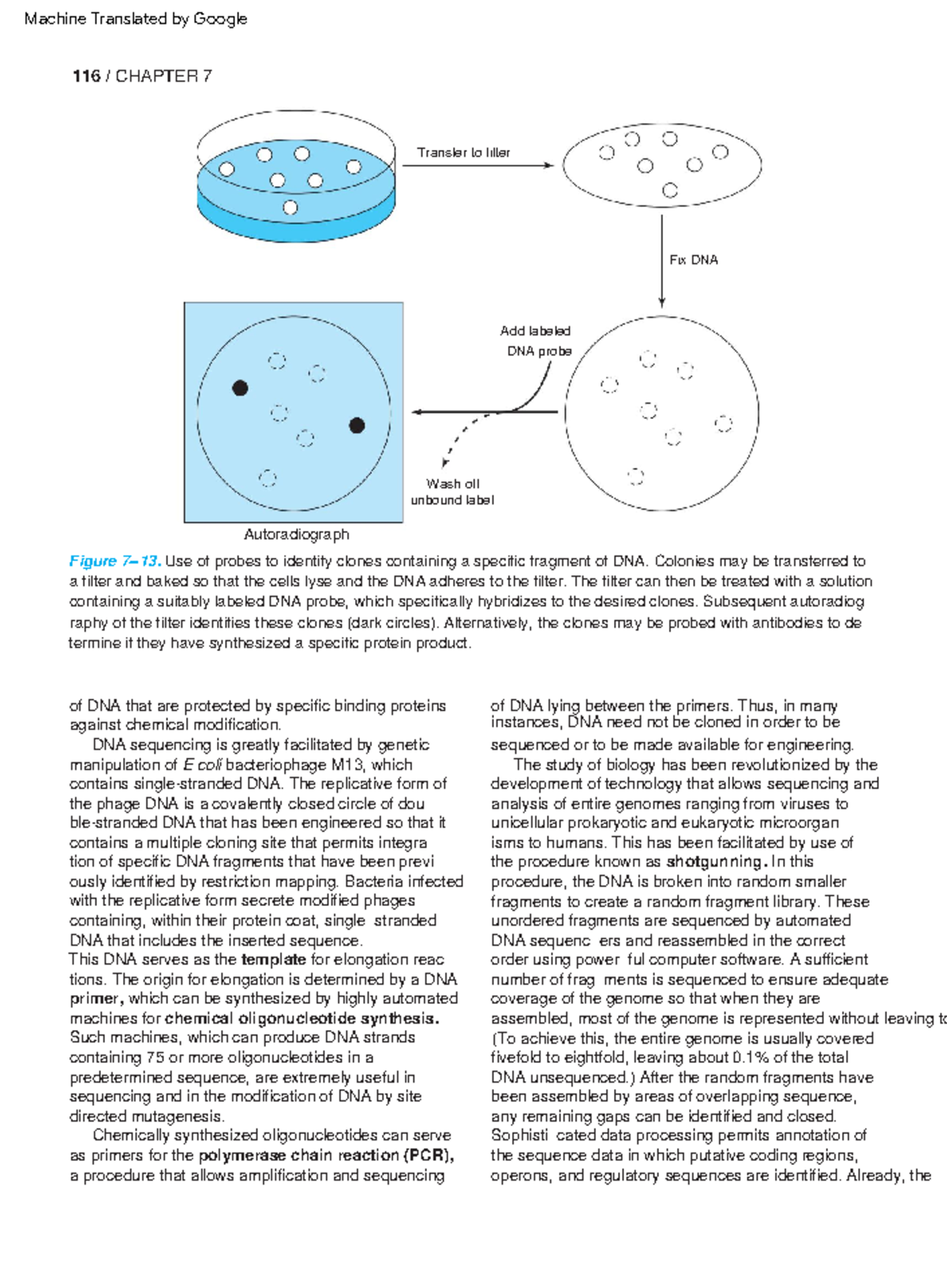 Jawetz, Melnick Adelberg's Medical Microbiology50 Autoradiograph