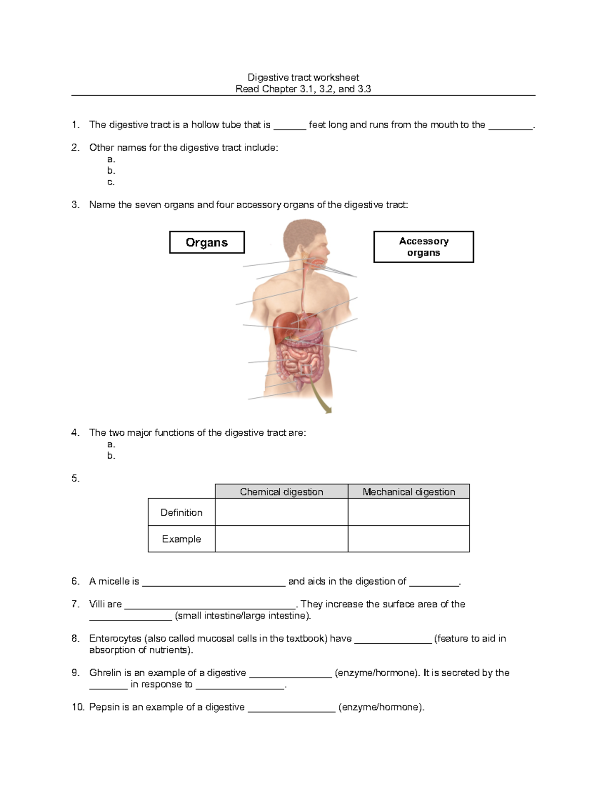 Digestive tract worksheet 2023 - Digestive tract worksheet Read Chapter ...