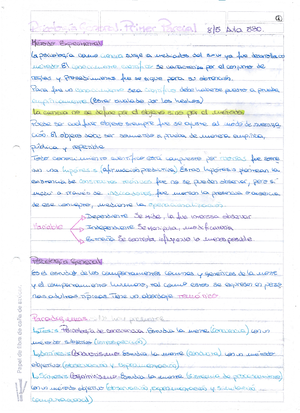 Resumen Neuro 1 Parcial - TEORICO 1 / PSICOLOGÍA Y NEUROCIENCIAS DOGMA ...