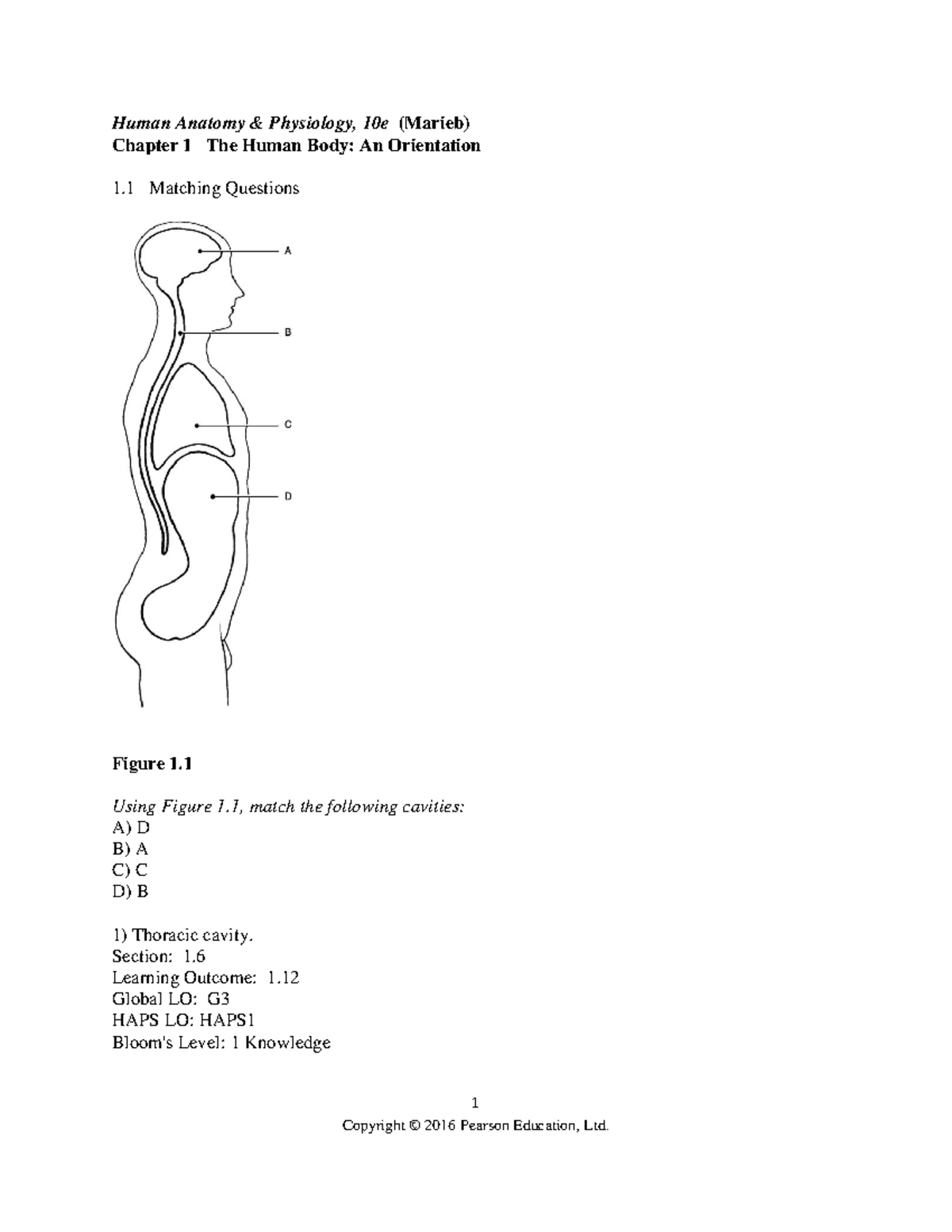 Ch 01 Test Bank - Practice Exam - 1 Human Anatomy & Physiology, 10e ...