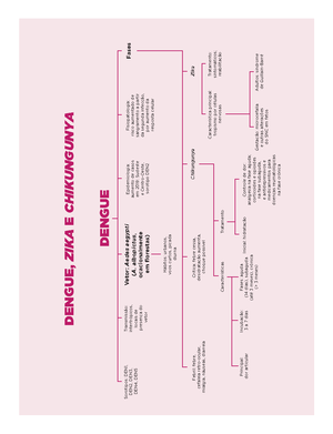 Mapa Mental - Dengue, zika e chikungunya - INFECTOLOGIA | 31 DENGUE, ZIKA E CHIKUNGUNYA  DENGUE - Studocu