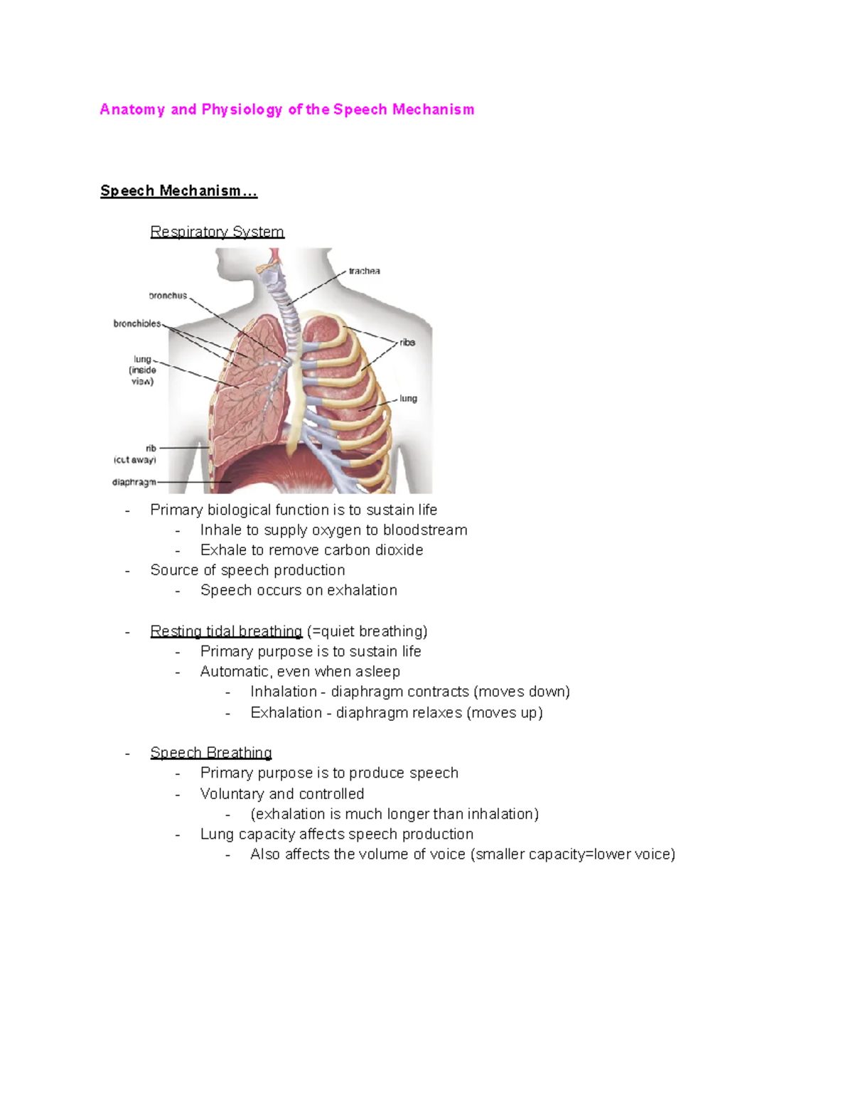 CSD3 Anatomy - Anatomy and Physiology of the Speech Mechanism Speech ...