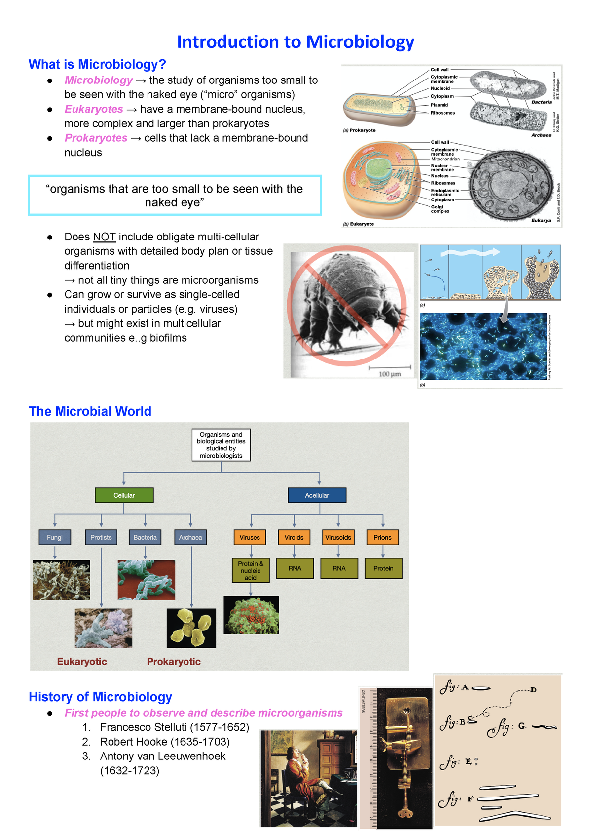 Lecture 1 Introduction To Microbiology - Introduction To Microbiology ...