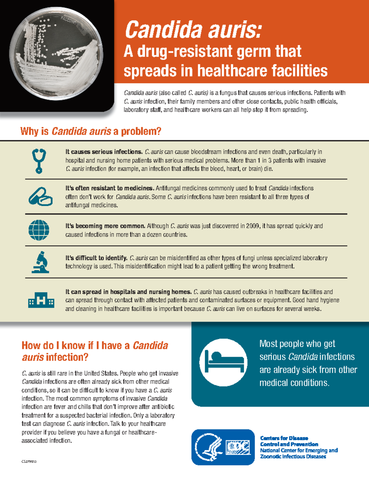 Candida auris PDF fact sheet - CS Candida auris: A drug-resistant germ ...