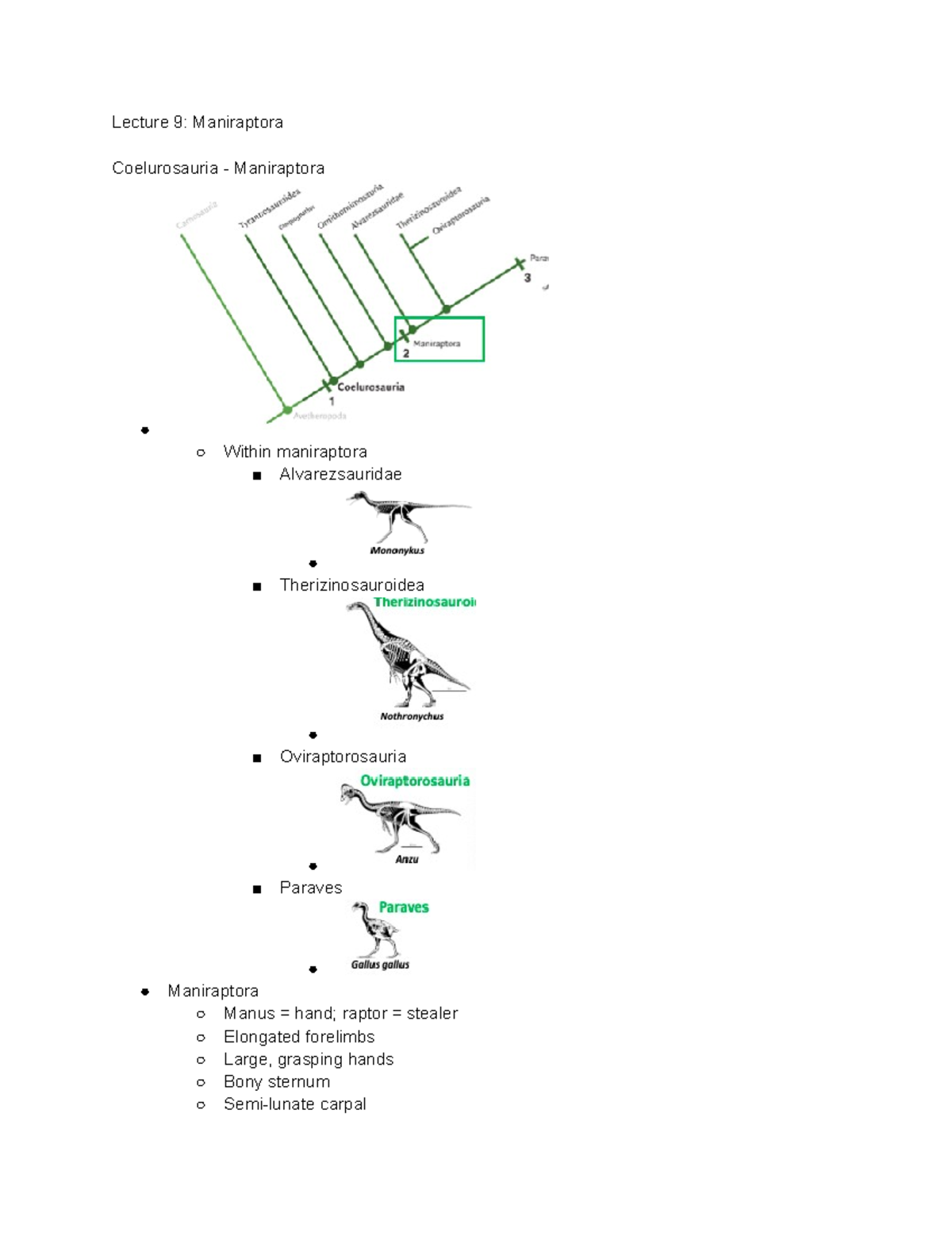 Dinos midterm 2 - lectures 9-11 - Lecture 9: Maniraptora Coelurosauria ...