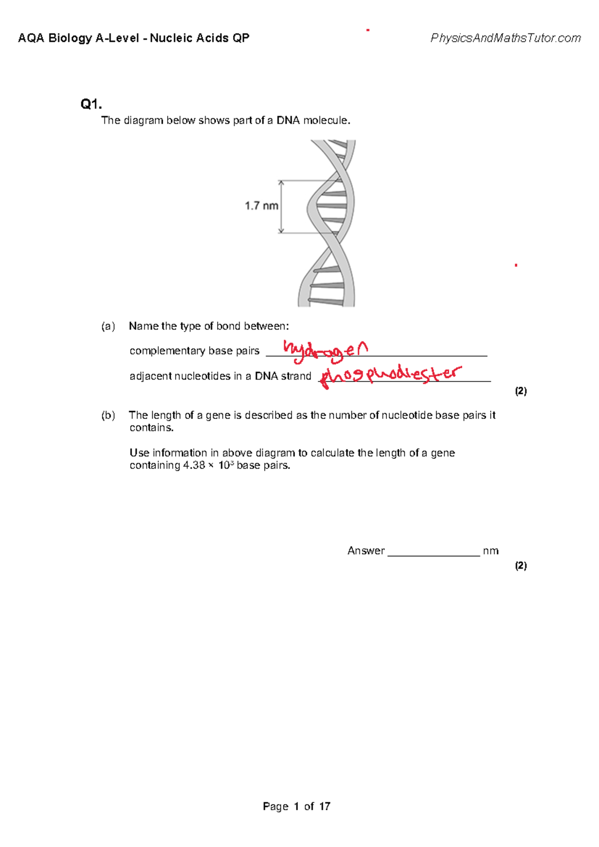 1.5 Nucleic Acids QP - Q1. The diagram below shows part of a DNA ...
