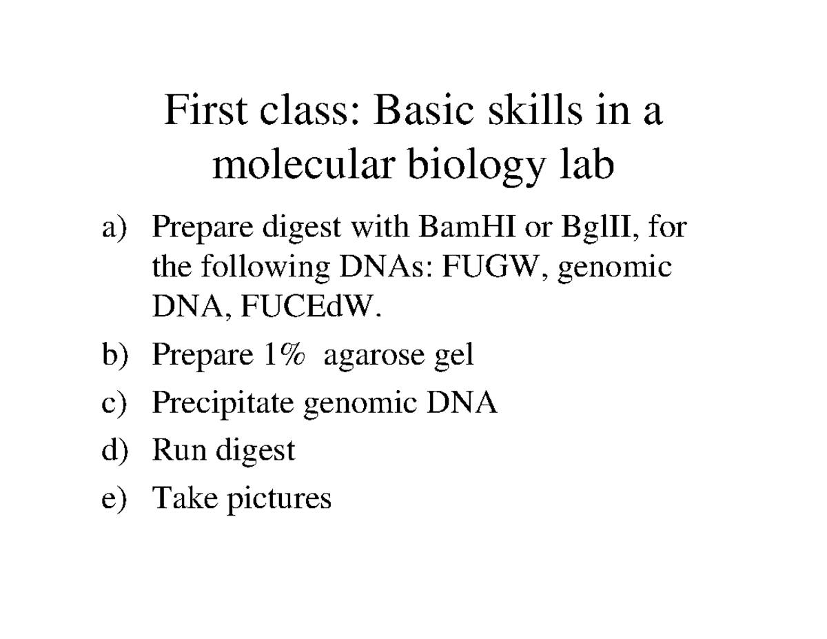 BL4 LAB ACTIVITY First class Basic skills in a molecular biology