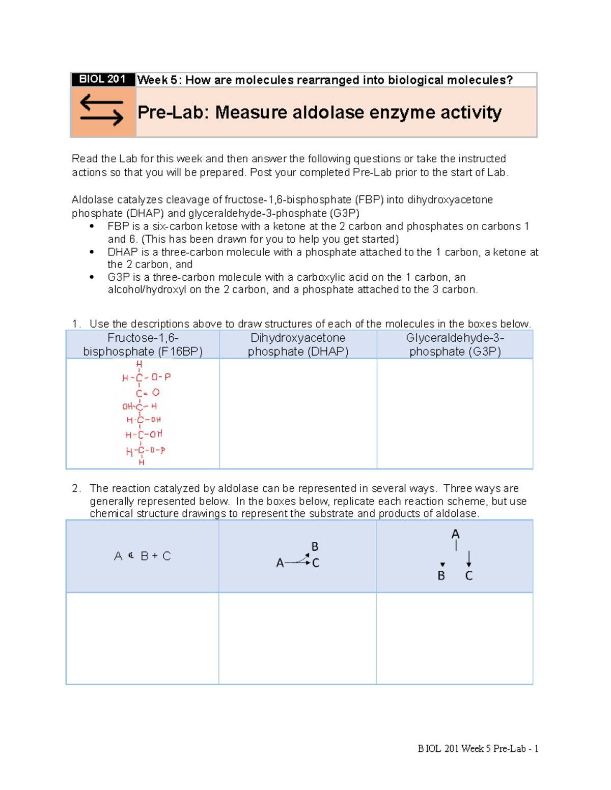 BIOL201 W05 Pre-Lab Measure Aldolase Enzyme Activity - BIOL 201 Week 5 ...
