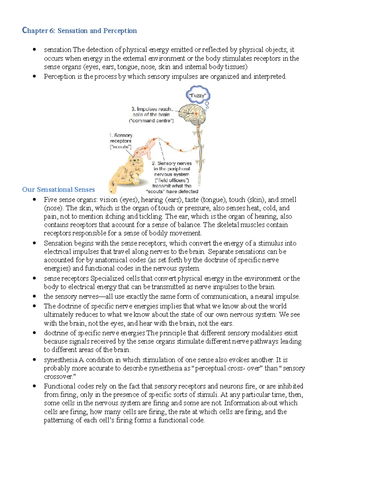 Chapter 6 - Sensation and Perception - Our Sensational Senses Five ...