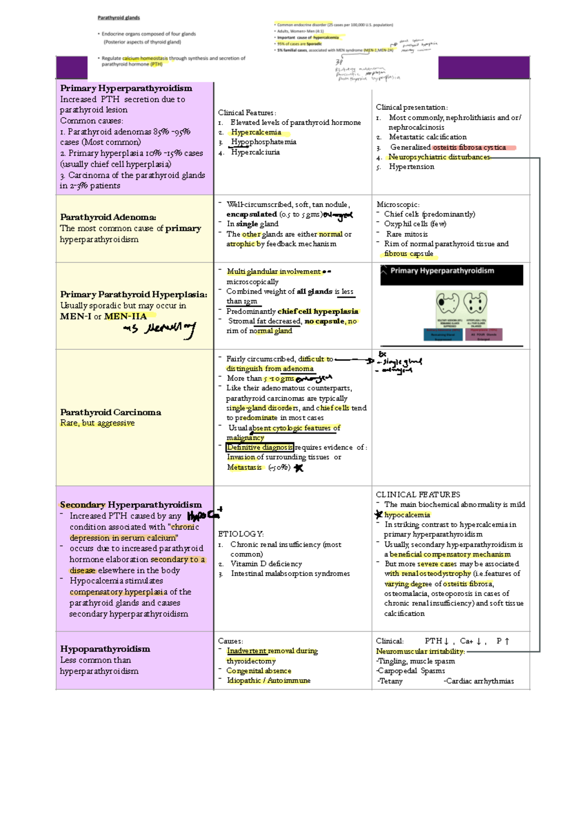 Pathology parathyroid - Primary Hyperparathyroidism Increased PTH ...