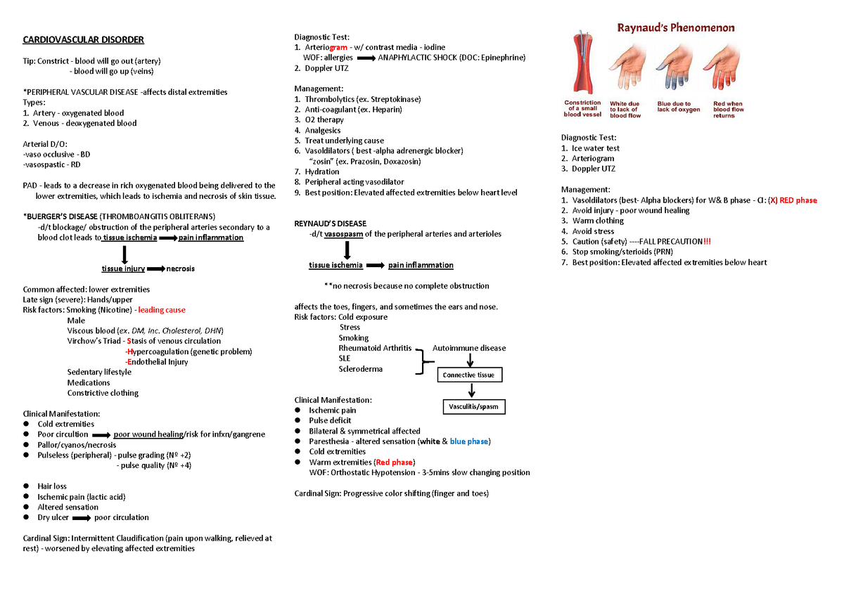 MED-SURG Review - MEDICAL SURGICAL - CARDIOVASCULAR DISORDER Tip ...