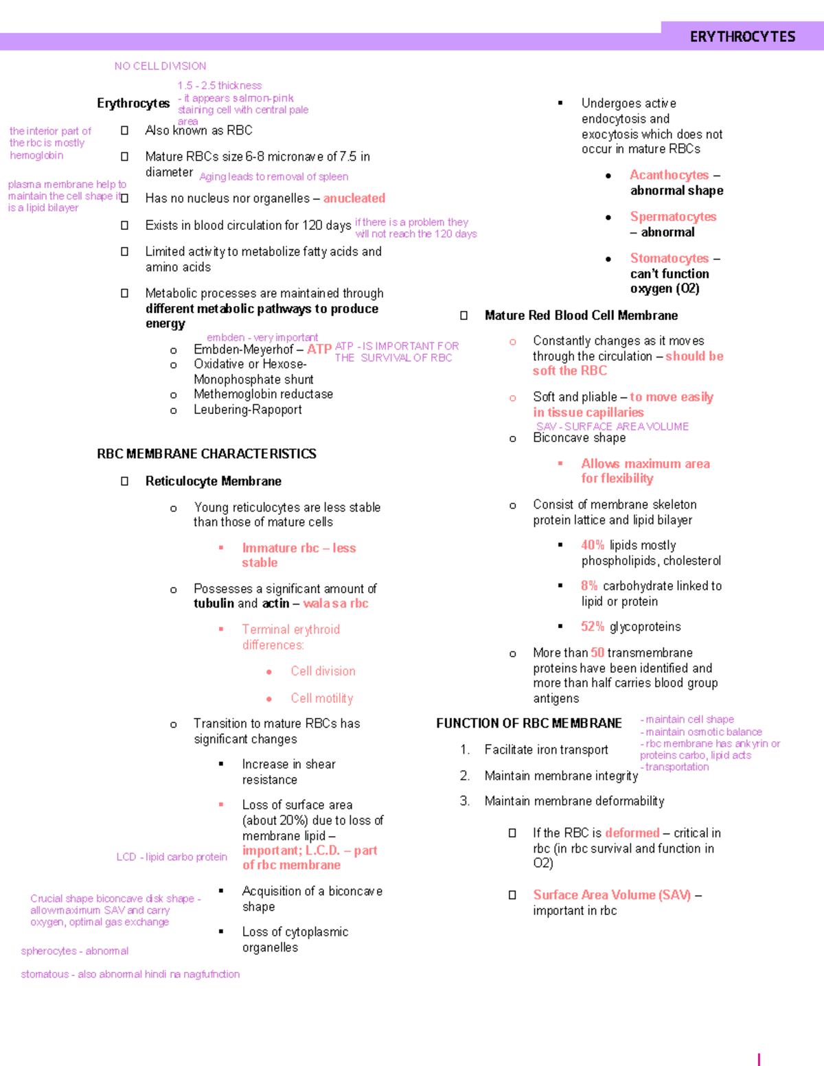 HEMA-erythrocytes - Summary Rodak's Hematology - Erythrocytes Also ...