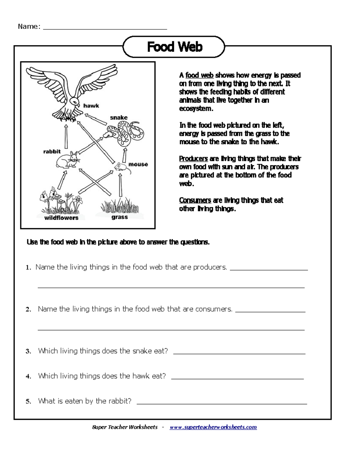 Food-web-worksheet Wqrqm - Super Teacher Worksheets 