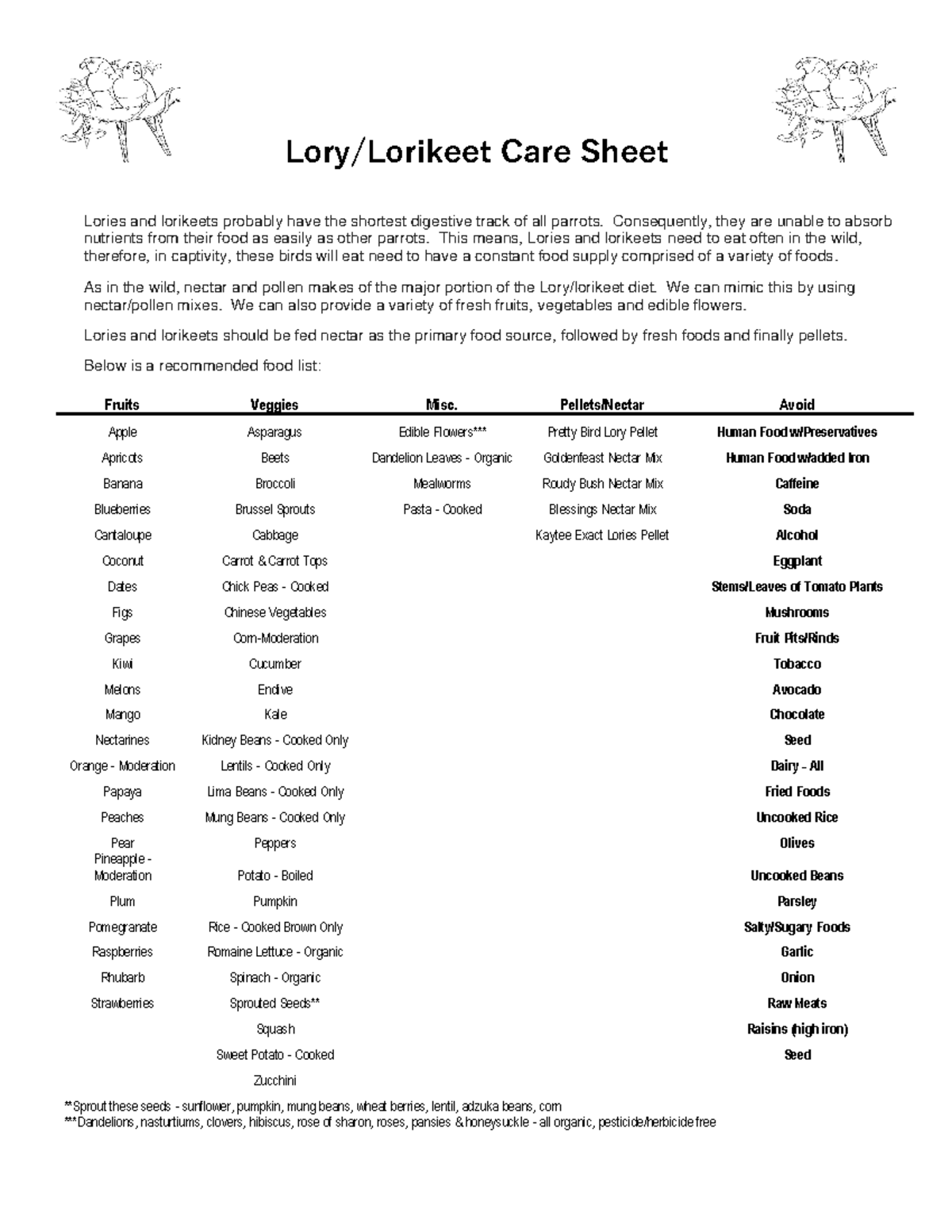 Lory and Lorikeet Care Sheet - Lory/Lorikeet Care Sheet Lories and ...