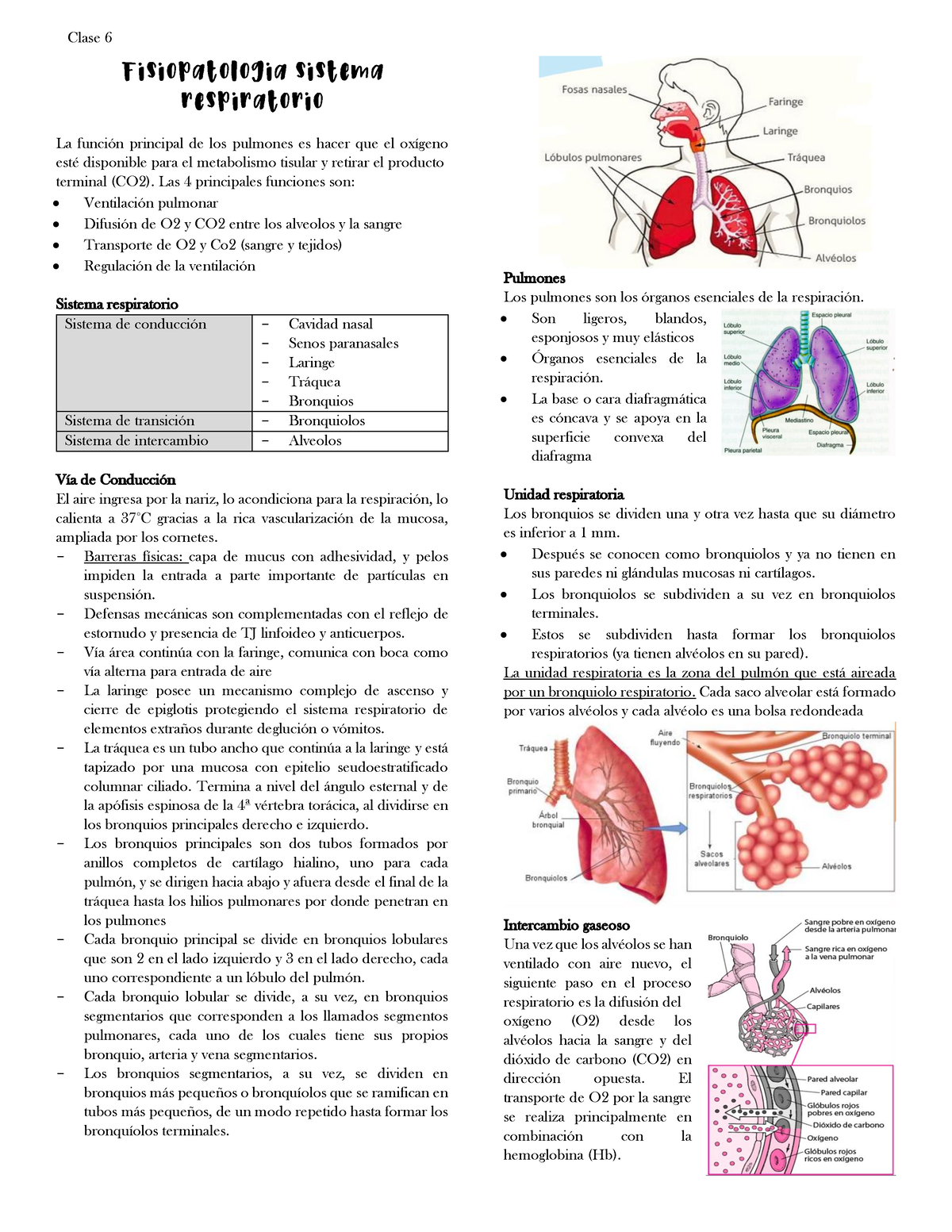 Fisiopatologia Sistema Respiratorio - Fisiopatologia Sistema ...