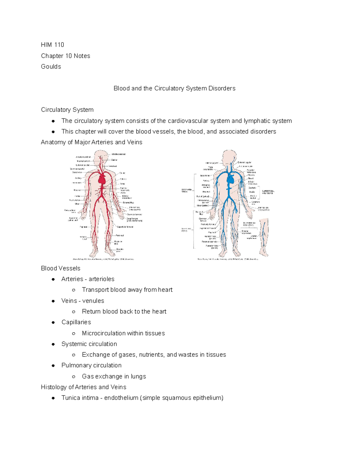 HIM 110 - Chap 10 Notes (Goulds) - HIM 110 Chapter 10 Notes Goulds ...