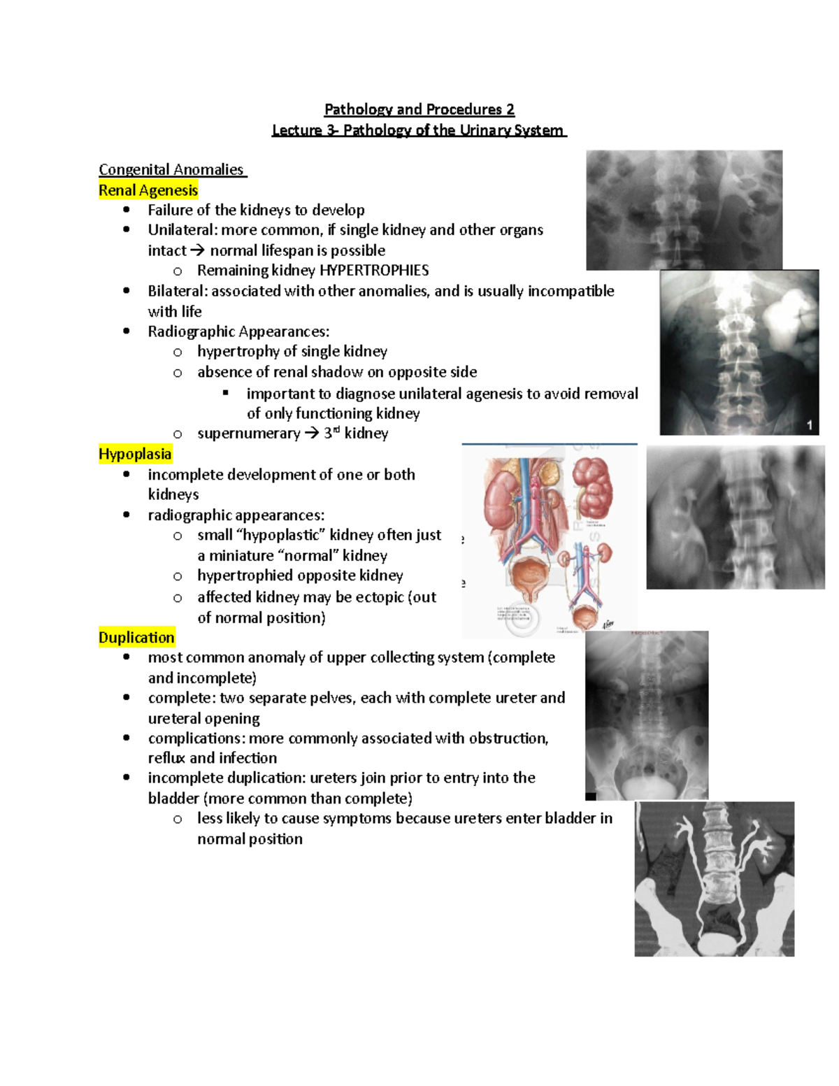 Pathology and Procedures 2- lecture 3 - Studocu