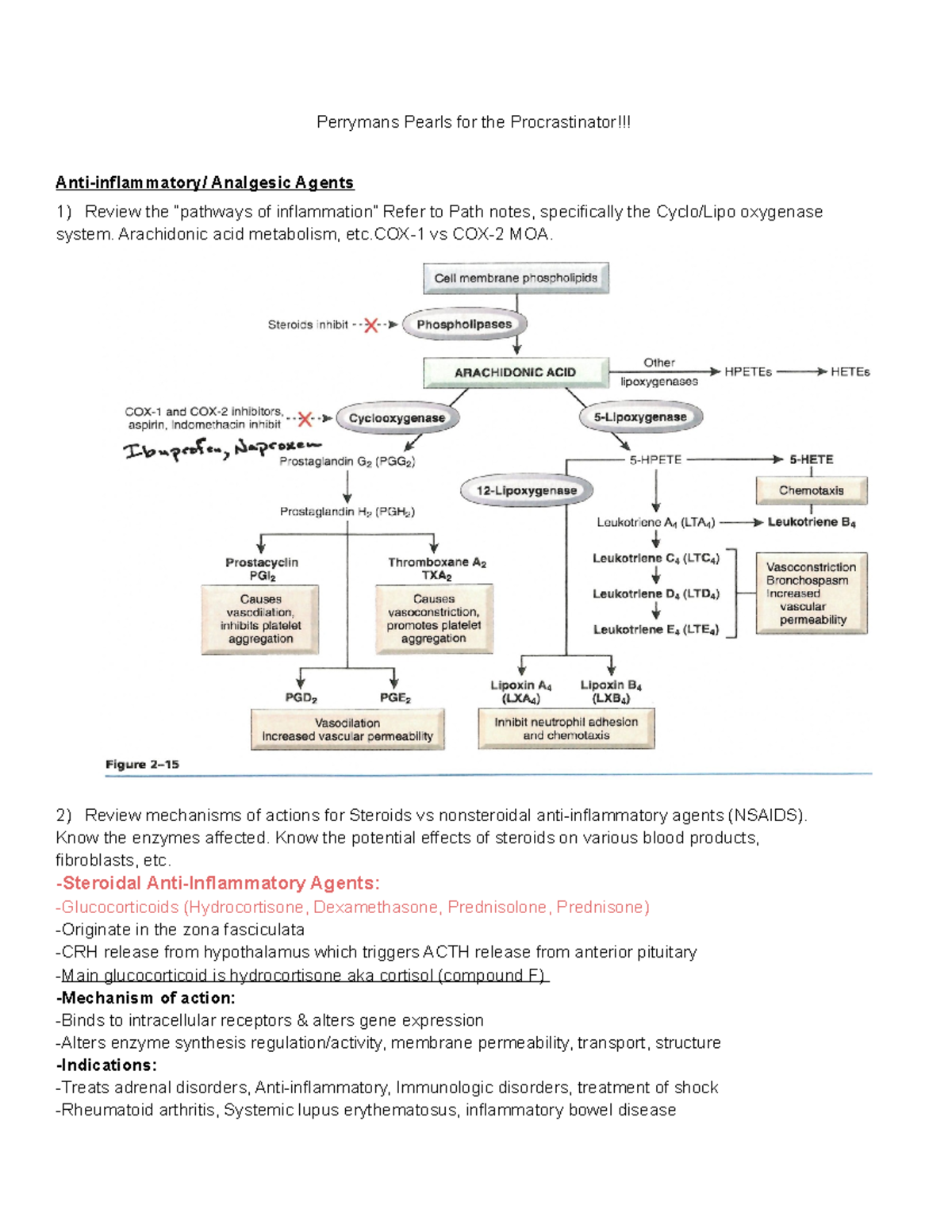 Pharm exam 2- Review - Perrymans Pearls for the Procrastinator!!! Anti ...