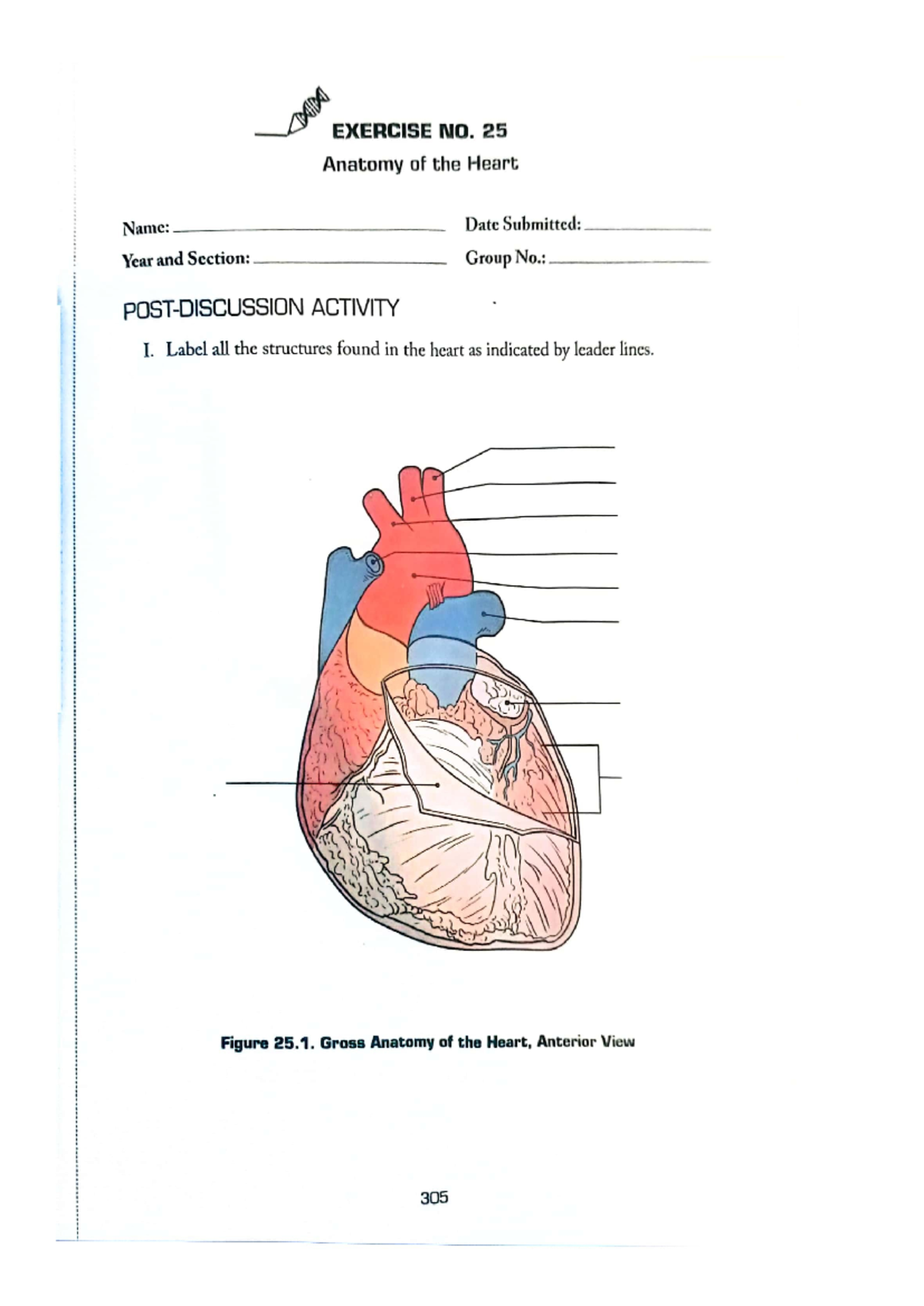 Exercise 25 anatomy of heart EXERCISE NO. 25 Anatomy of the Heart