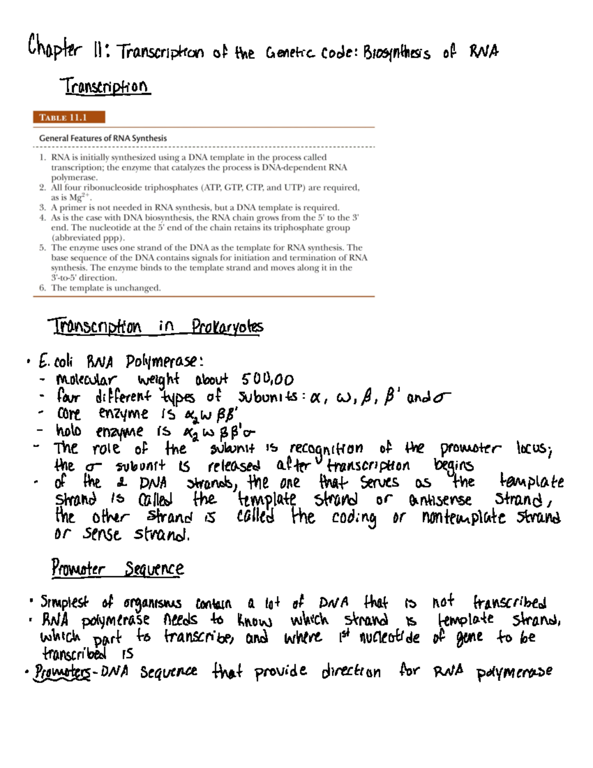 Chapter 11 - Lecture Notes 11 - CHEM 451 - EMU - Studocu